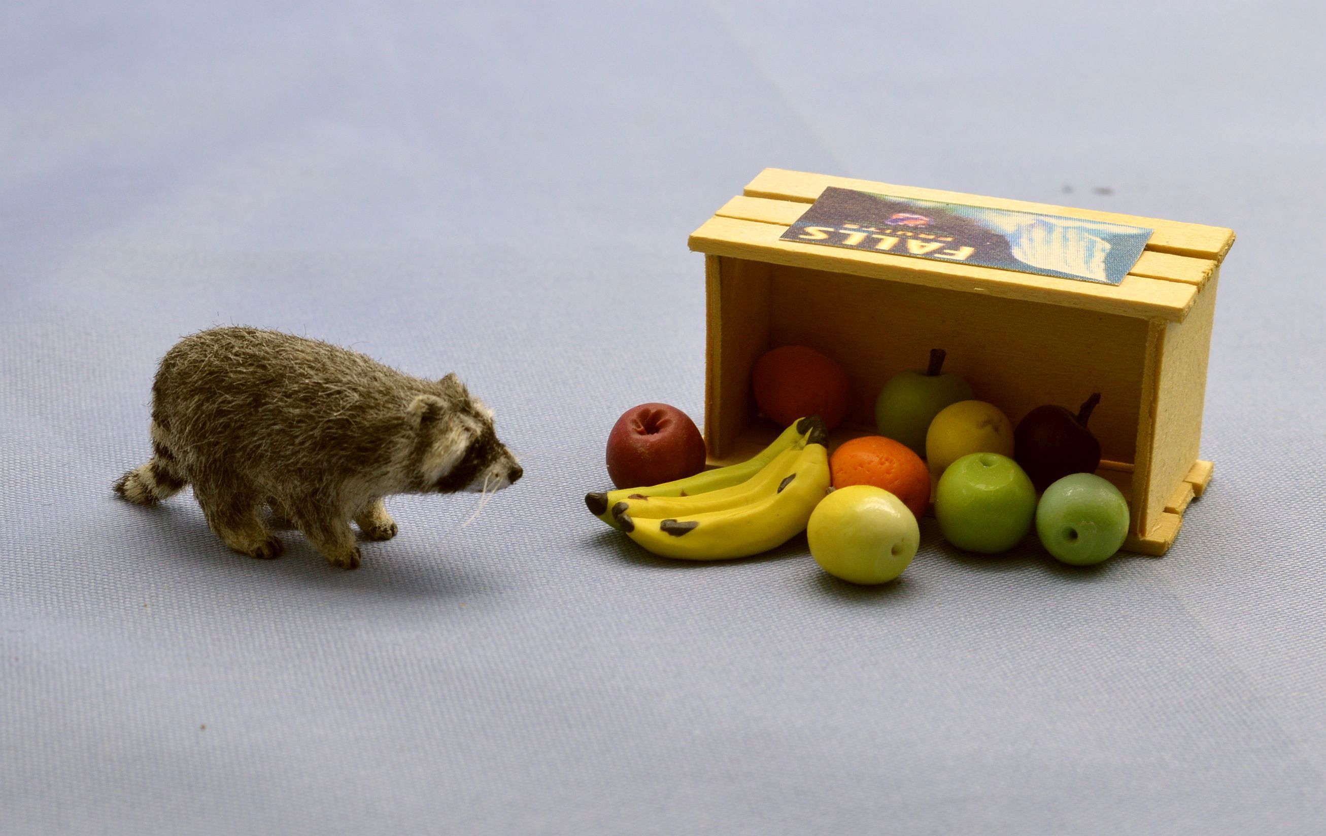 Hand 



carved furred realistic OOAK dollhouse miniature raccoon