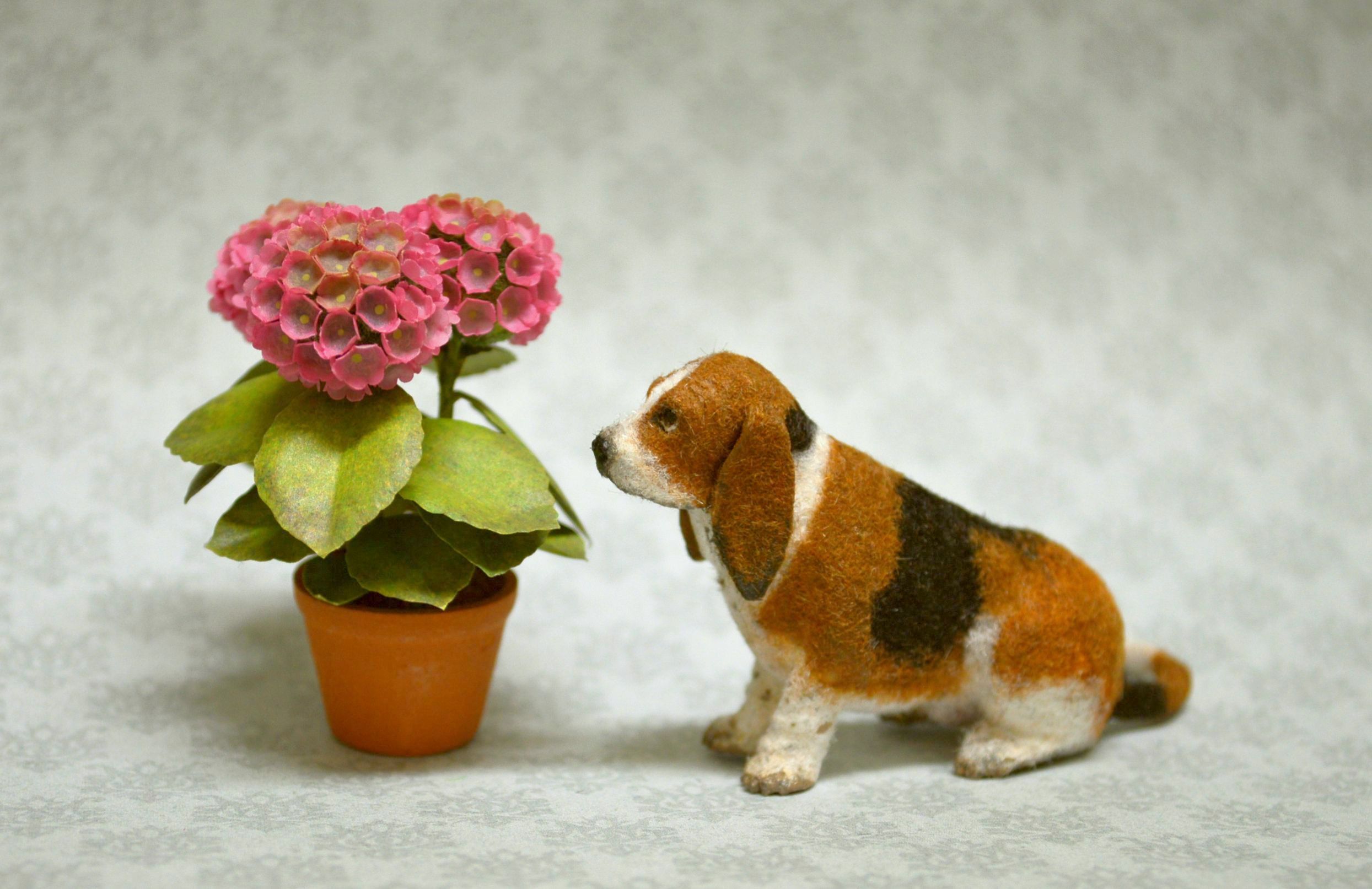 Hand carved 



furred realistic OOAK dollhouse miniature Basset hound