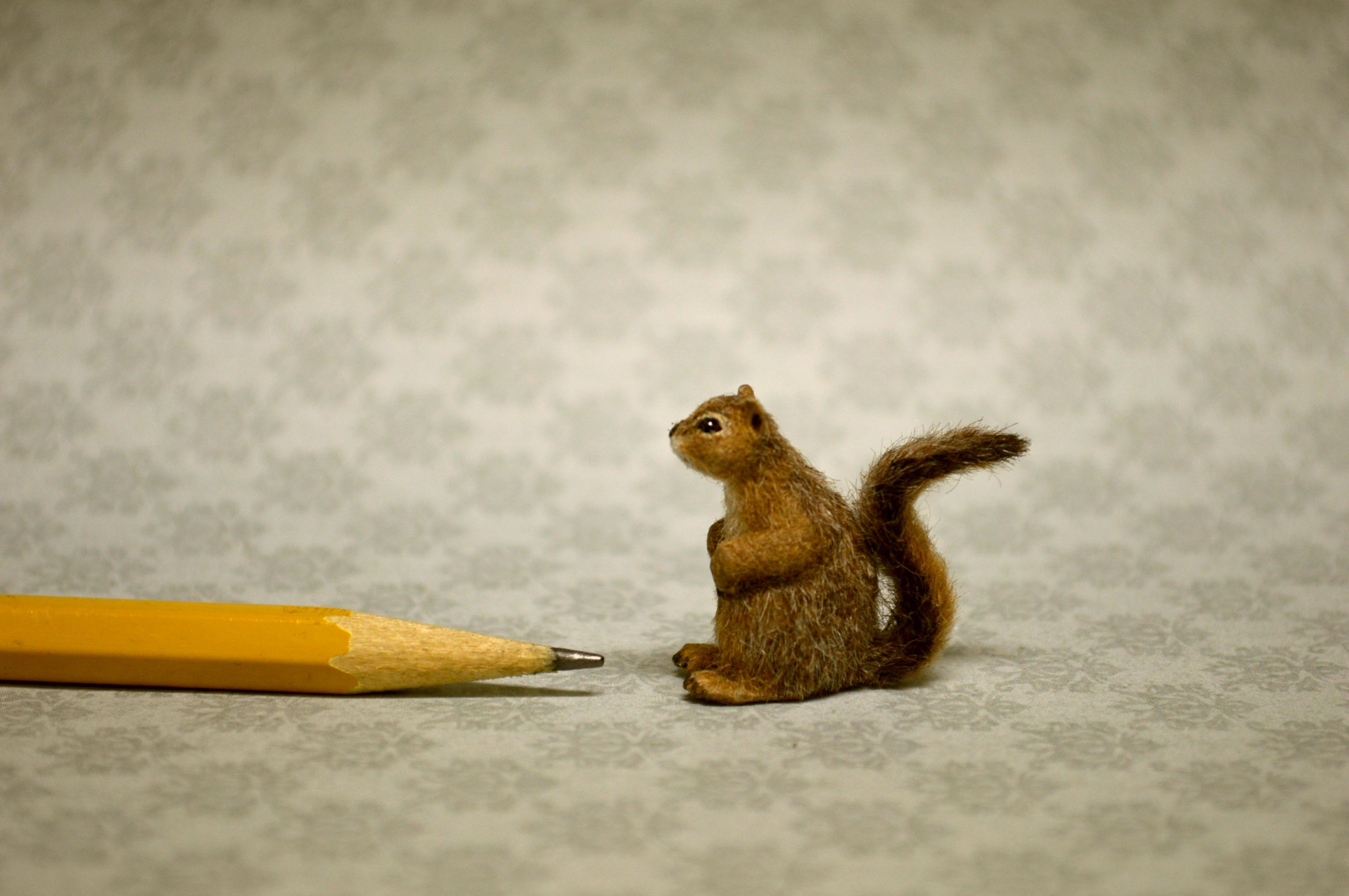 Hand 



carved furred realistic OOAK dollhouse miniature brown gray squirrel