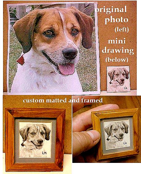 have your pet drawn from your photos!