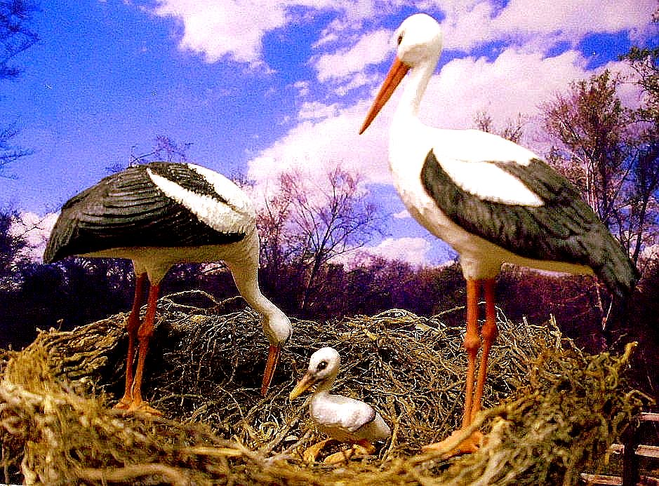 hand carved hand painted wood miniature stork family.